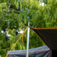 Kiwi Camping Tuatara 270° Adjustable Awning Wall