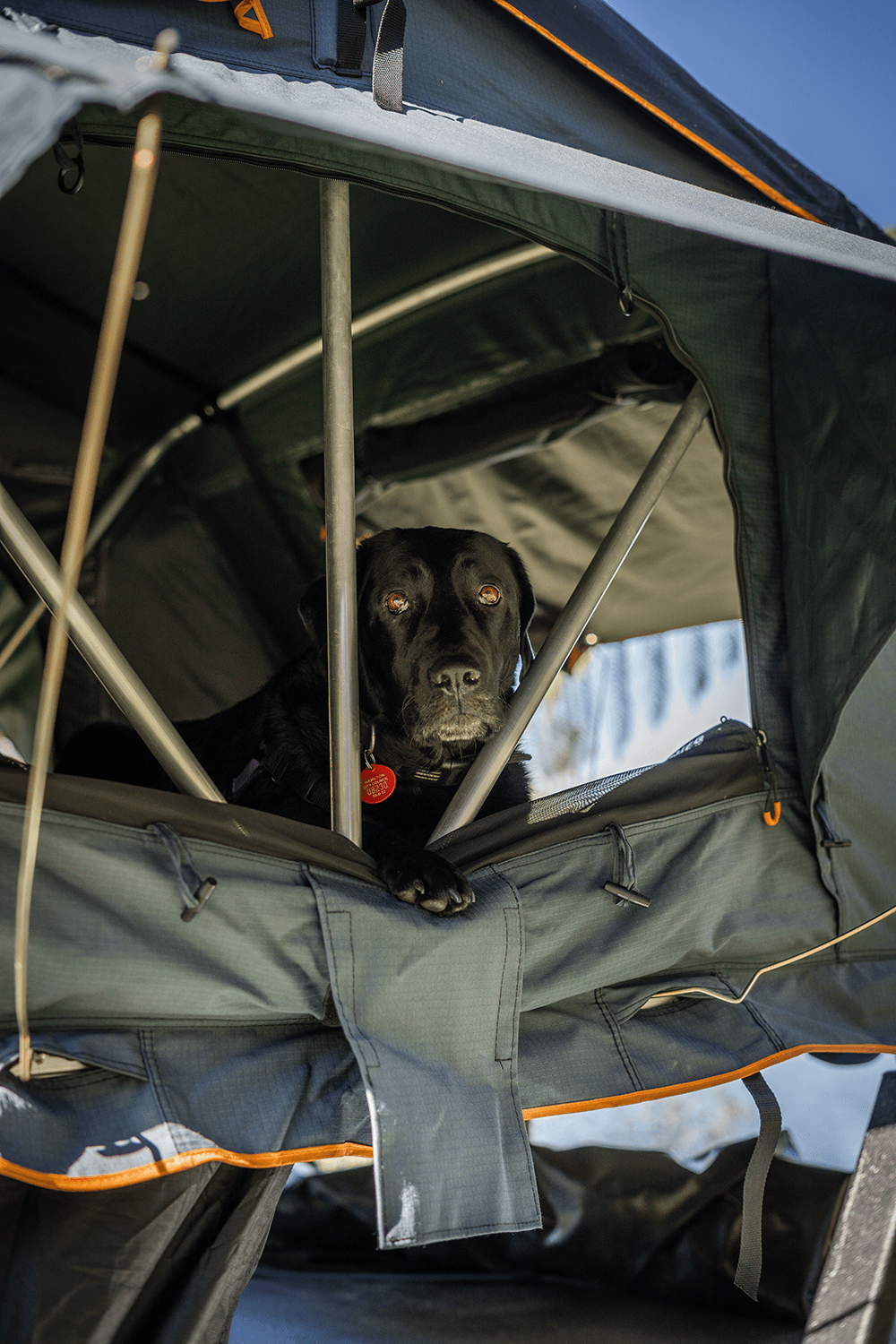 Tuatara Soft Shell Rooftop Tent - Extended - Kiwi Overland